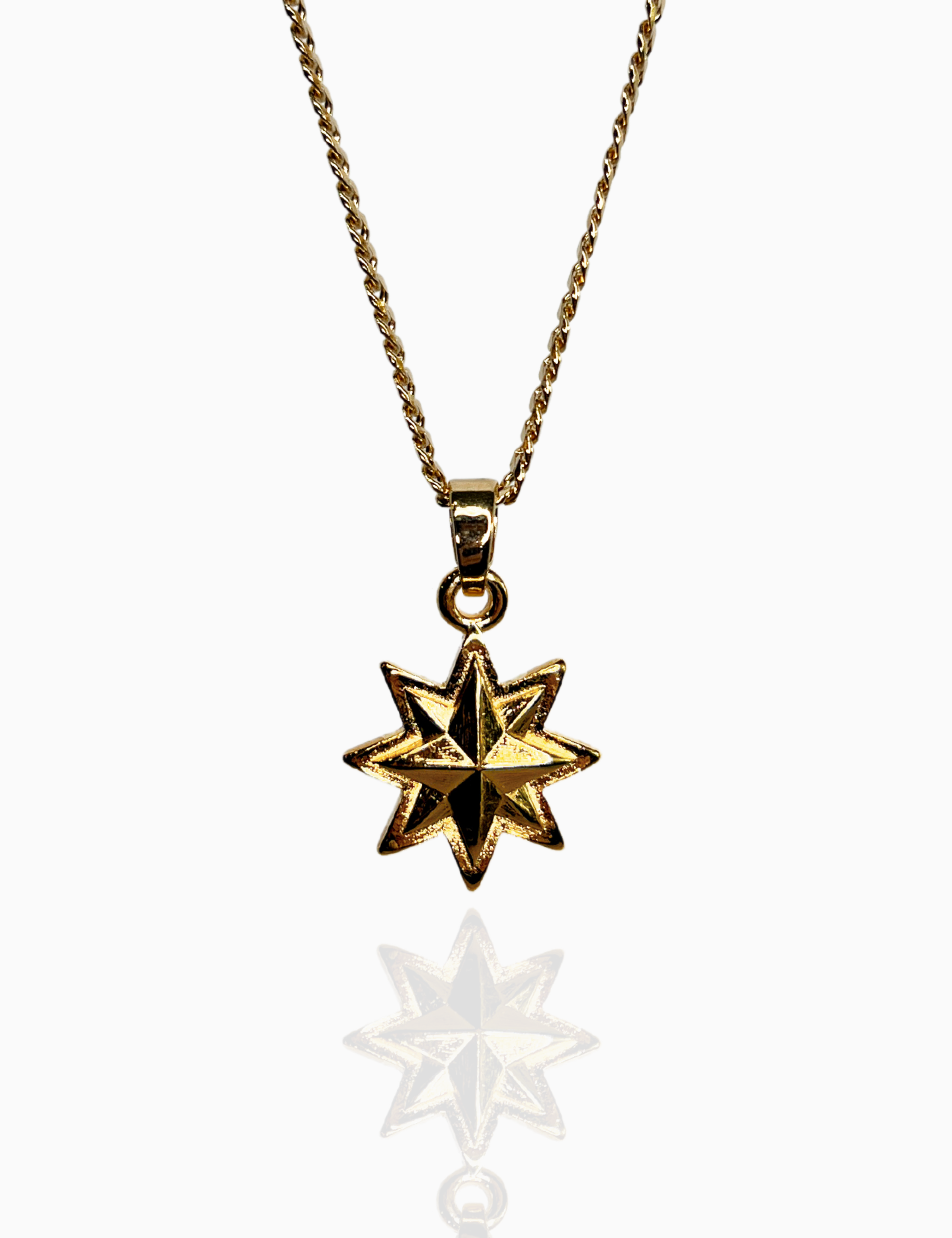 The Long Sirius Star Charm Necklace